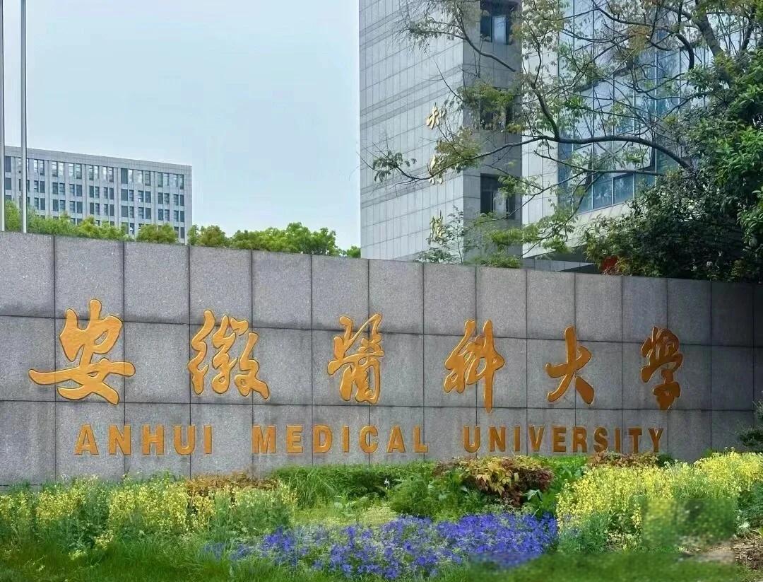 實力護航！熱烈祝賀我公司成功承接安徽醫科大學新醫科中心舞臺防火大幕項目